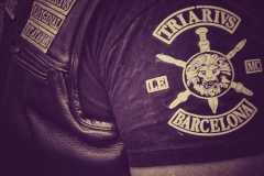 TRIARIVS_LEMC_3